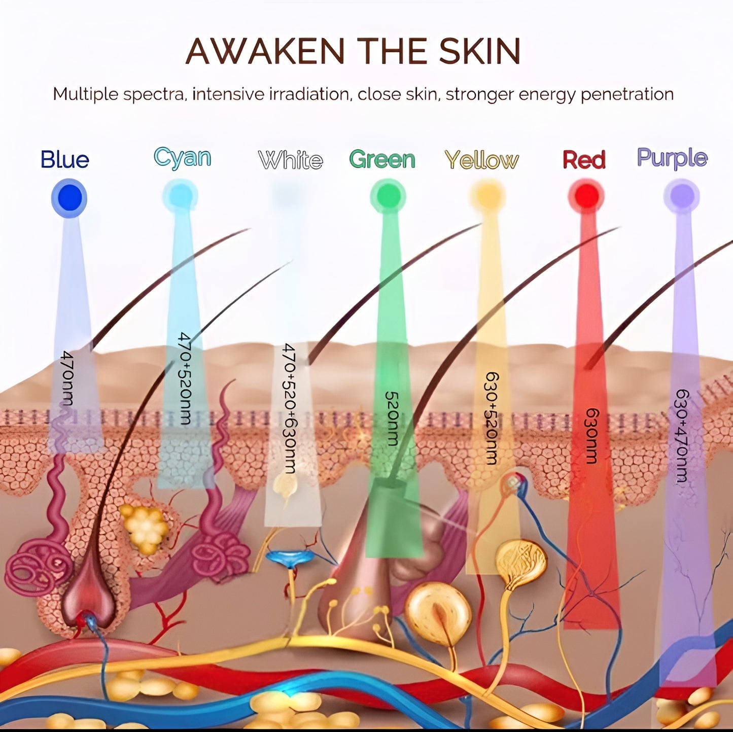 Clinically-Inspired LED Mask for Clearer, Brighter, Firmer Skin at Home in Just Minutes